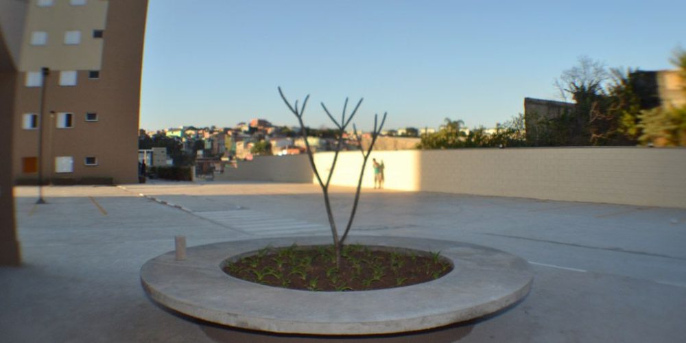 convicencia-felicitta